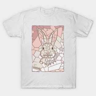 Inside the mirror - Grey Rabbit T-Shirt